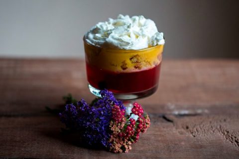 ElOlvidado-2-480x320