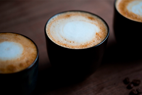 ElOlvidado-4-480x320