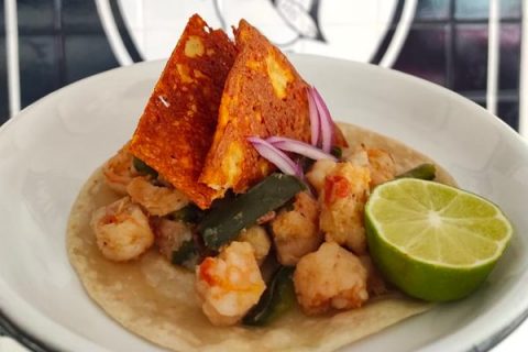 LaPinguina-1-480x320