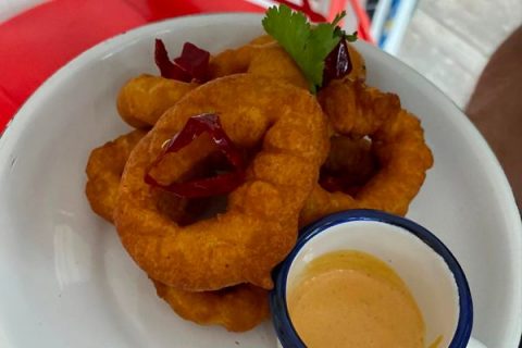 LaPinguina-2-480x320