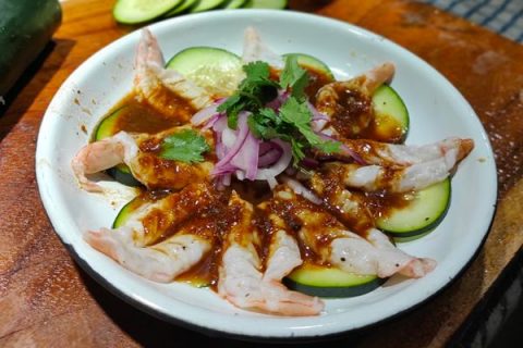 LaPinguina-3-480x320